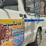 قالیشویی پردیسان