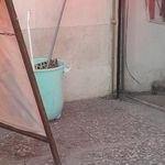 داروخانه دامپزشکی پارچین