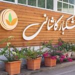 بازار ارین