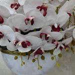 گل رز نقره ای
