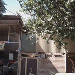 نان بربری