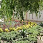 پارک جهان (بانوان)