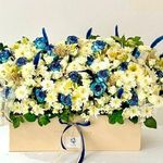 گل رز نقره ای