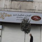 خشکبار وحید