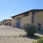 تولید ای وود