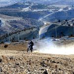 بوستان سپیدار