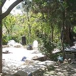 باغ خانوادگی لطفی