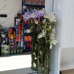اتو سرویس ابتین