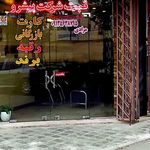 ثبت شرکت فدک