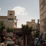 فروشگاه فرش