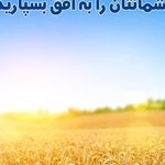عینک نوا