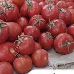 میوه فروشی بزرگ امیر مهدی