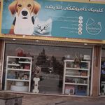 پت شاپ ارتا (شعبه 2)
