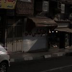 کترینگ بلوط