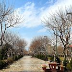 شهربازی کودک پارک پلیس تهرانپارس