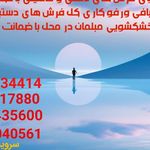 قالیشویی پردیسان