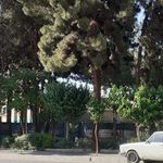 بوستان بانوان نسیم شهر