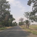 شرکت بیمه فشافویه
