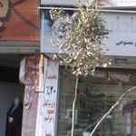 کلیدسازی احمدی