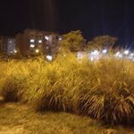 پارکینگ شبانه روزی مهدیه(امین)