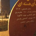 بوستان زیتون