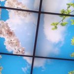 اهنگری وتریلرسازی سردار