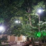 باغچه سرو نقره ای (سعید بهبودی)