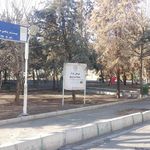 بوستان بلوط