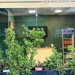 کترینگ غذای خانگی ترمه بانو