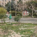 بوستان بهمن