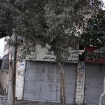 پخش فراورده های گوشتی زئوس