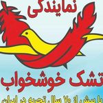فروشگاه کالای خواب
