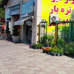 بازار میوه و تره بار ازادشهر