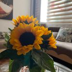 دکتر روانشناس فریدخت آصف کیا