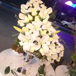 گلفروشی متانویا