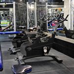 باشگاه بدنسازی سارن