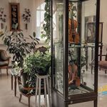 آموزشگاه موسیقی خورشید