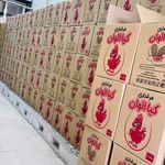 تولید و پخش تخم مرغ کیا الوان