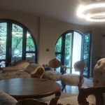 فیزیوتراپی شفا گستر