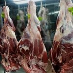 فروشگاه مرغ گوشت ماهی تعاونی مسکن مهر