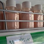 سبزیجات آماده به سبزی