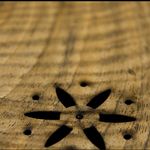 گالری موسیقی آرش