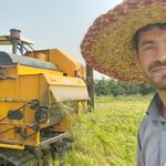 بازرگانی برنج جلودار