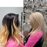 سالن زیباییِ تخصصی مو محیا