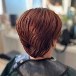 خدمات تخصصی رنگ و لایت و کوتاهی مو هستی