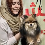 پت شاپ و آرایشگاه حیوانات مهندس گمشادزهی