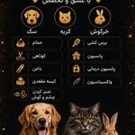 خدمات حیوانات