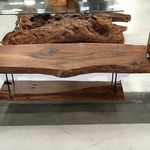 تولید کننده انواع میز با ریشه درخت