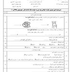 سپید تحریر