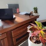 دکترای تخصصی روانشناسی سپیده شاهمرادی